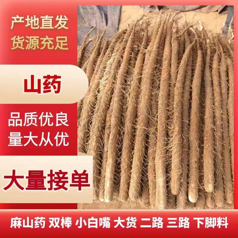 麻山药大量供应中对接市场档口商超一条龙服务欢迎来电咨询