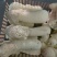 竹荪基地直发品质保证诚信经营量大从优欢迎来电
