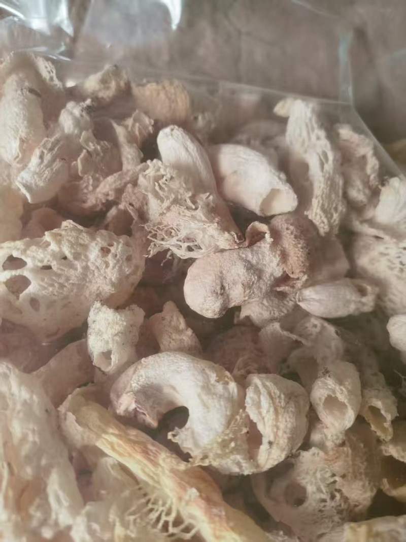 竹荪基地直发品质保证诚信经营量大从优欢迎来电