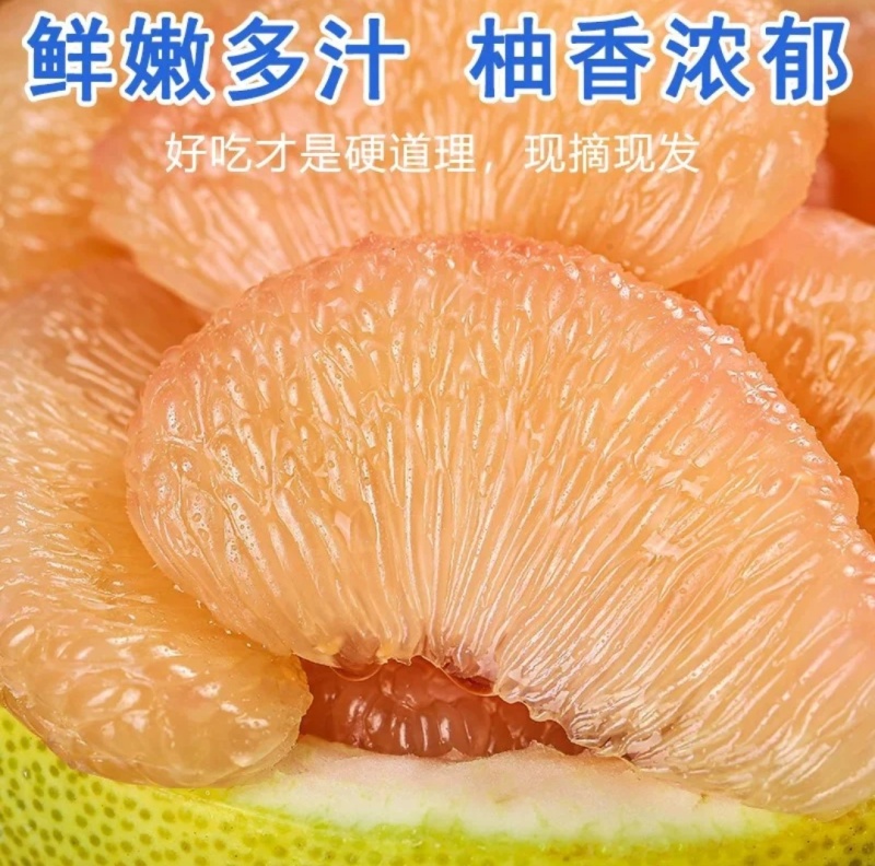 产地直发度尾红心文旦柚