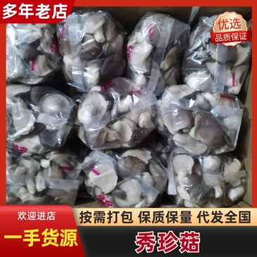 河北石家庄精品秀珍菇,菌盖圆润,柄鲜味鲜
