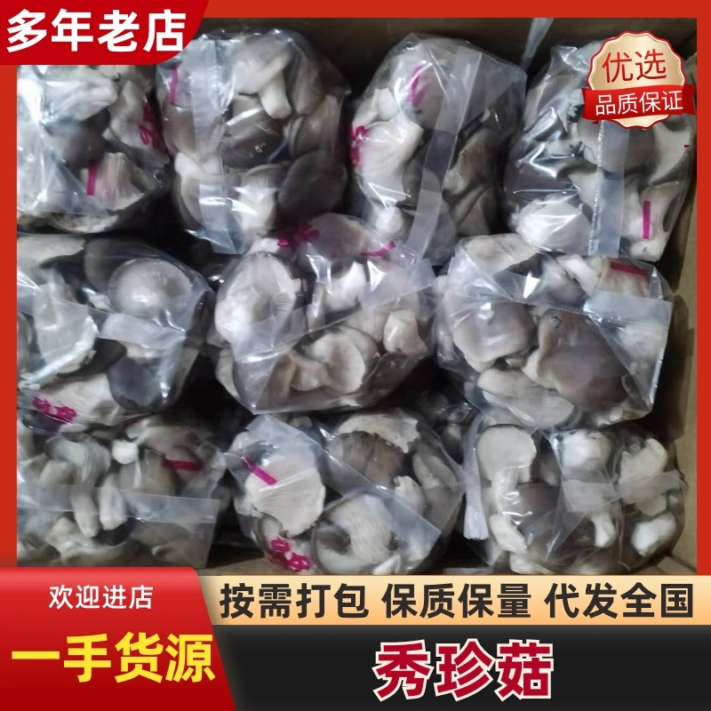 河北石家庄精品秀珍菇，菌盖圆润，柄鲜味鲜