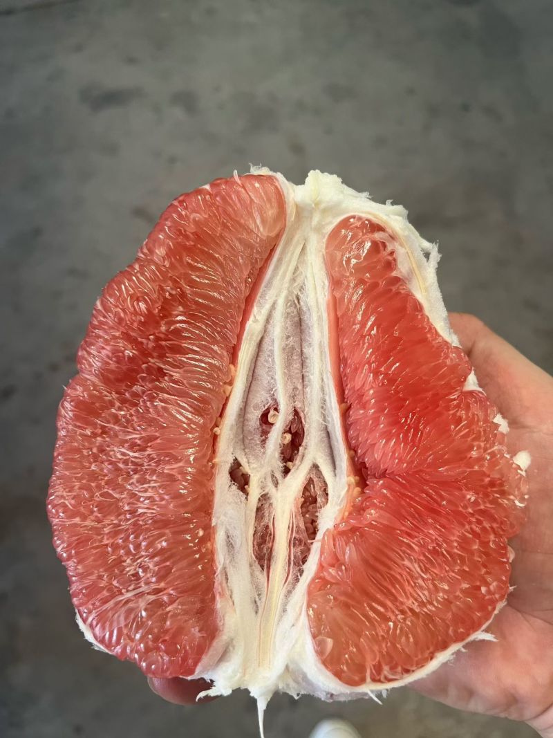 琯溪蜜柚万亩基地大量上市，皮薄肉厚口感甜，整车发货，代发