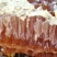 自己养的纯蜂蜜