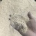 稻糠
