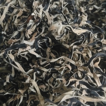 毛木耳丝