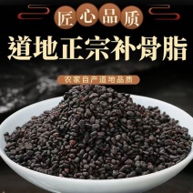 补骨脂黒故子干货农副产品不满意可退换货