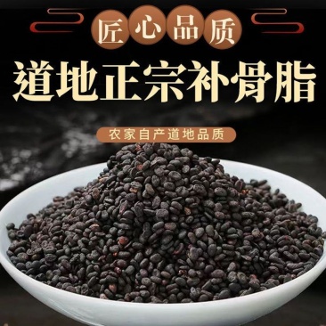 补骨脂黒故子干货农副产品不满意可退换货