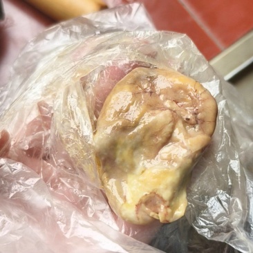 鸡宝，有要的联系我