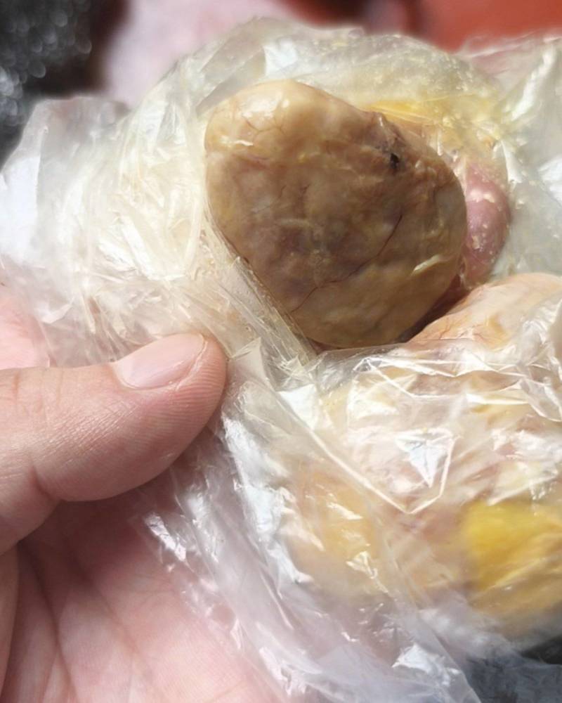 鸡宝，有要的联系我