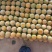 磨盘柿子