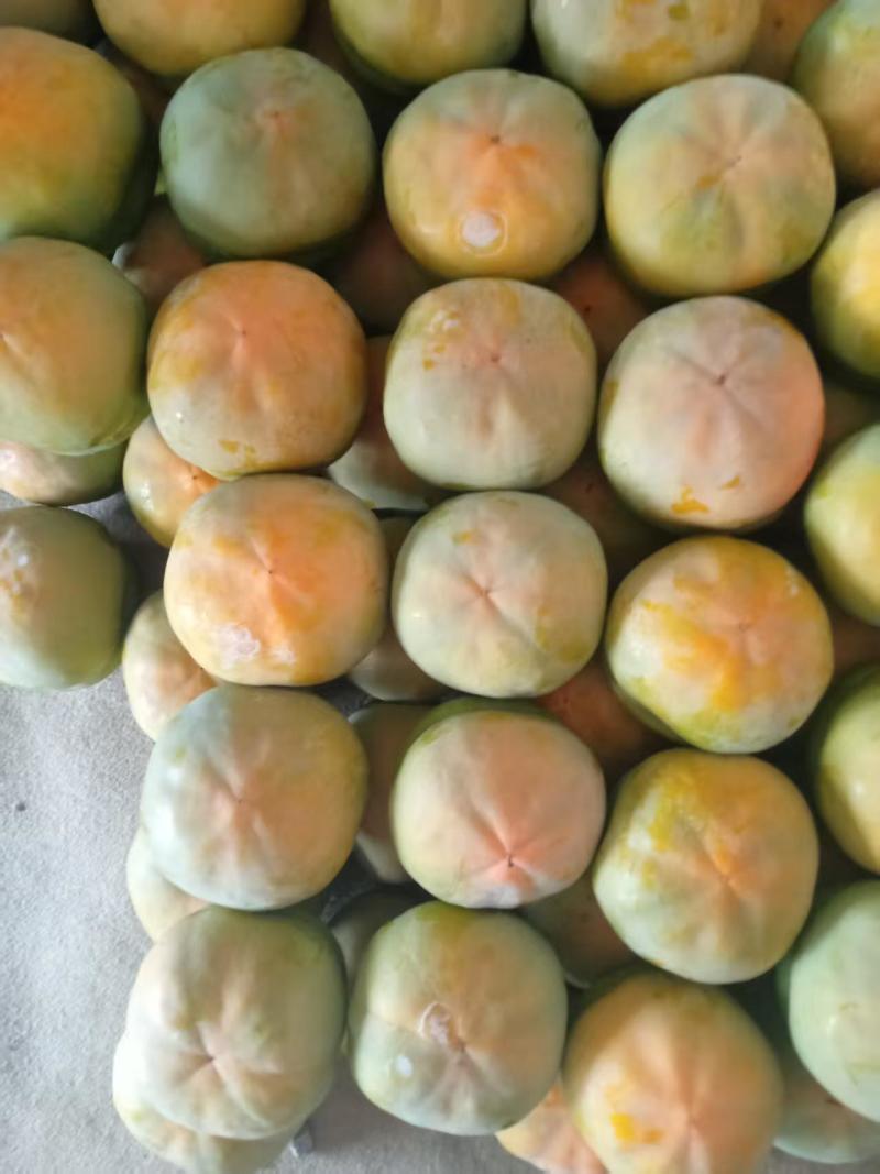 磨盘柿子