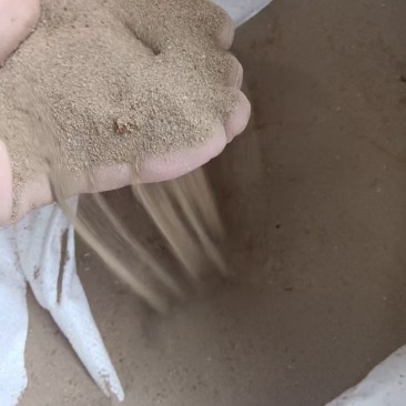 黄粉虫虫沙产地直供支持视频看货，产地考察量大从优欢迎采购