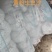 黄粉虫虫沙产地直供支持视频看货，产地考察量大从优欢迎采购