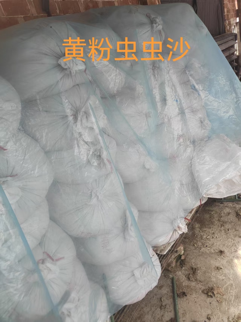 黄粉虫虫沙产地直供支持视频看货，产地考察量大从优欢迎采购