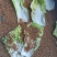 黄粉虫虫沙产地直供支持视频看货，产地考察量大从优欢迎采购