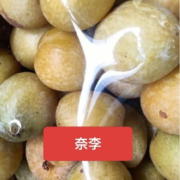 云南红河州蒙自水果杂货qq197254342