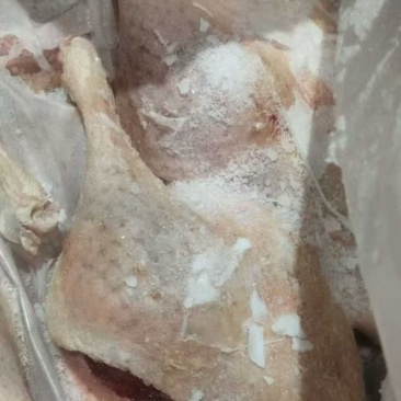 皮炎鸭边腿