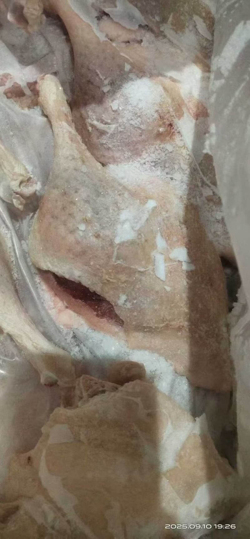 皮炎鸭边腿