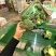 西兰花