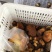 各类野生菌