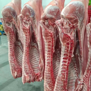 猪肉白条