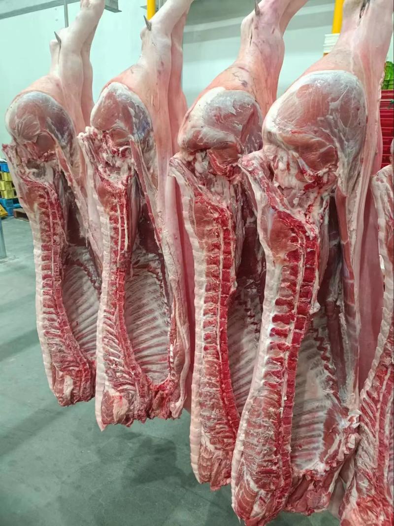 猪肉白条