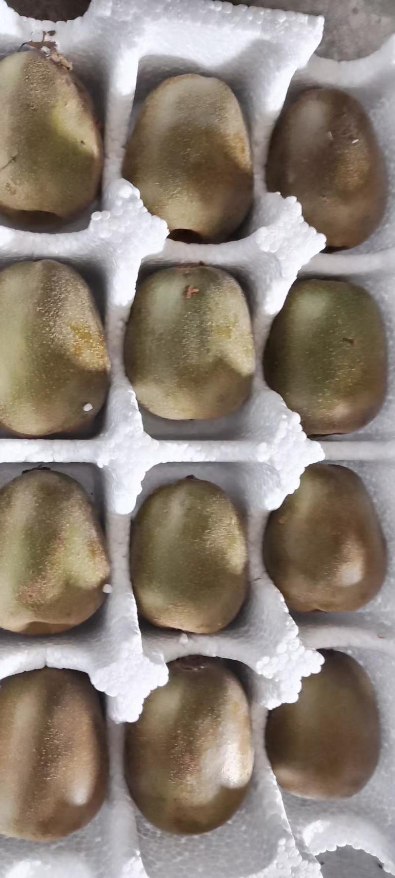 现货，一件代发红心猕猴桃，新鲜现摘，一手货源