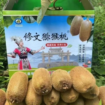自家种植猕猴桃，国家地理标志产品，修文贵长猕猴桃