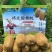 自家种植猕猴桃，国家地理标志产品，修文贵长猕猴桃