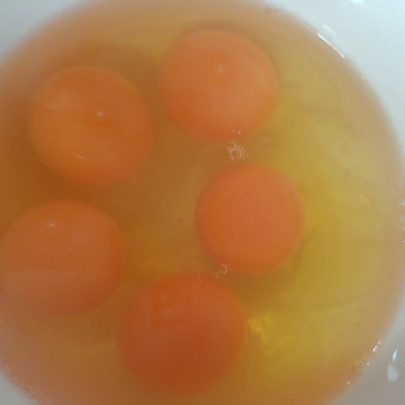 笨鸡蛋