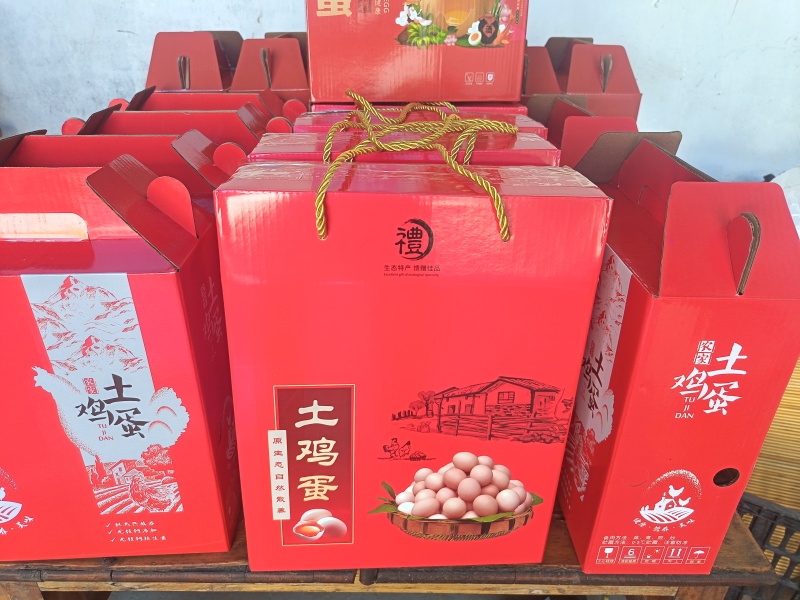 笨鸡蛋
