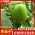 河南扶沟青茄子大量上市产地看货论价，支持视频看货