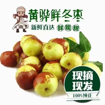 黄骅冬枣代办