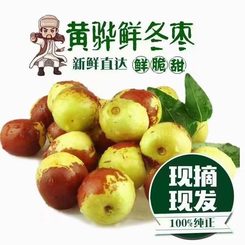 黄骅冬枣代办