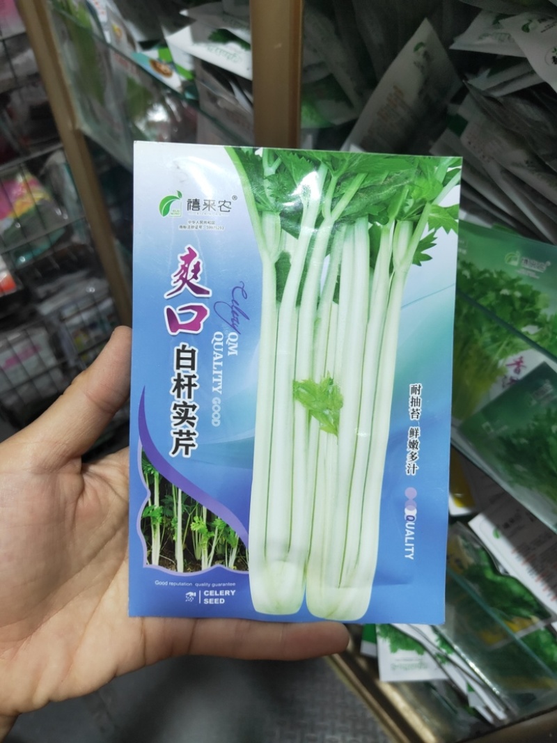 芹菜种子白杆实芹种子嫩脆耐热耐寒盆栽春秋蔬菜种子