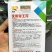 双港西芹种子80克文图拉芹菜种子精选芹菜籽株高70厘米