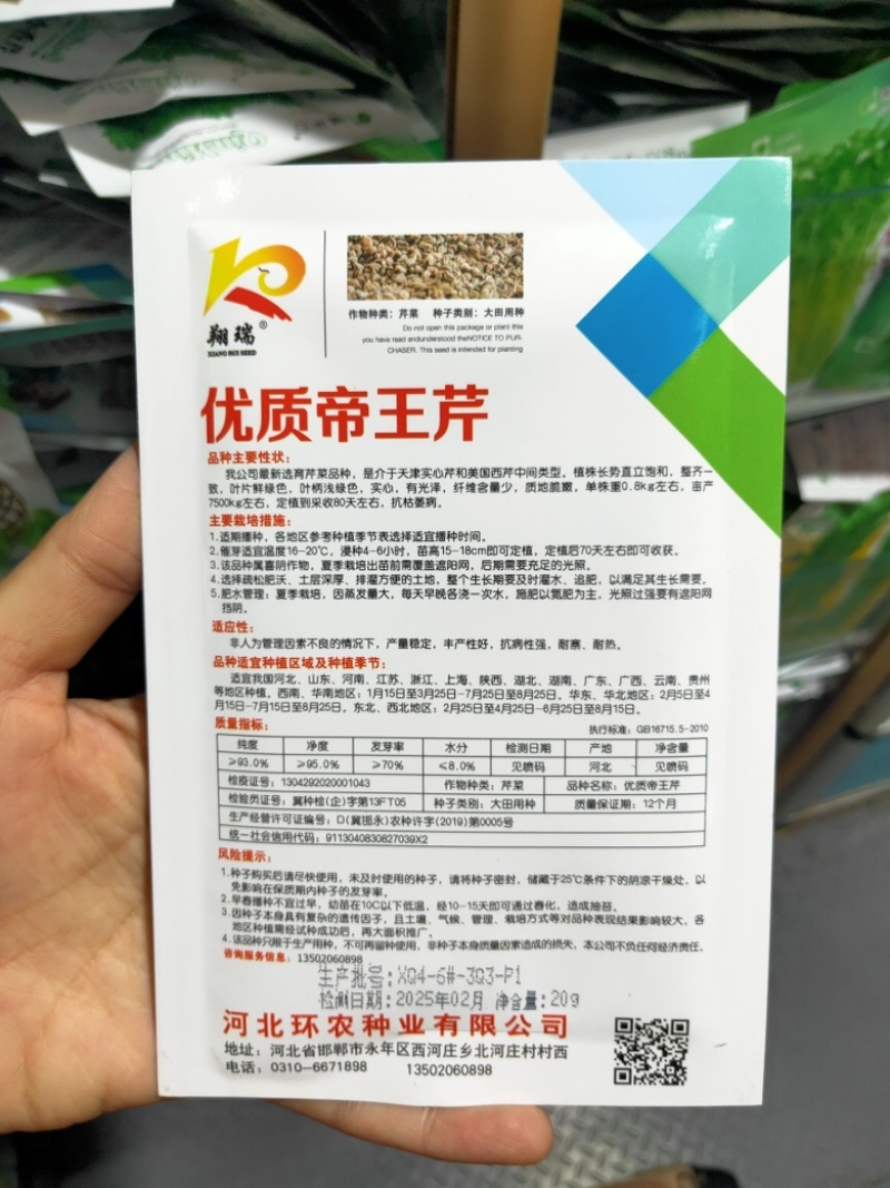 双港西芹种子80克文图拉芹菜种子精选芹菜籽株高70厘米