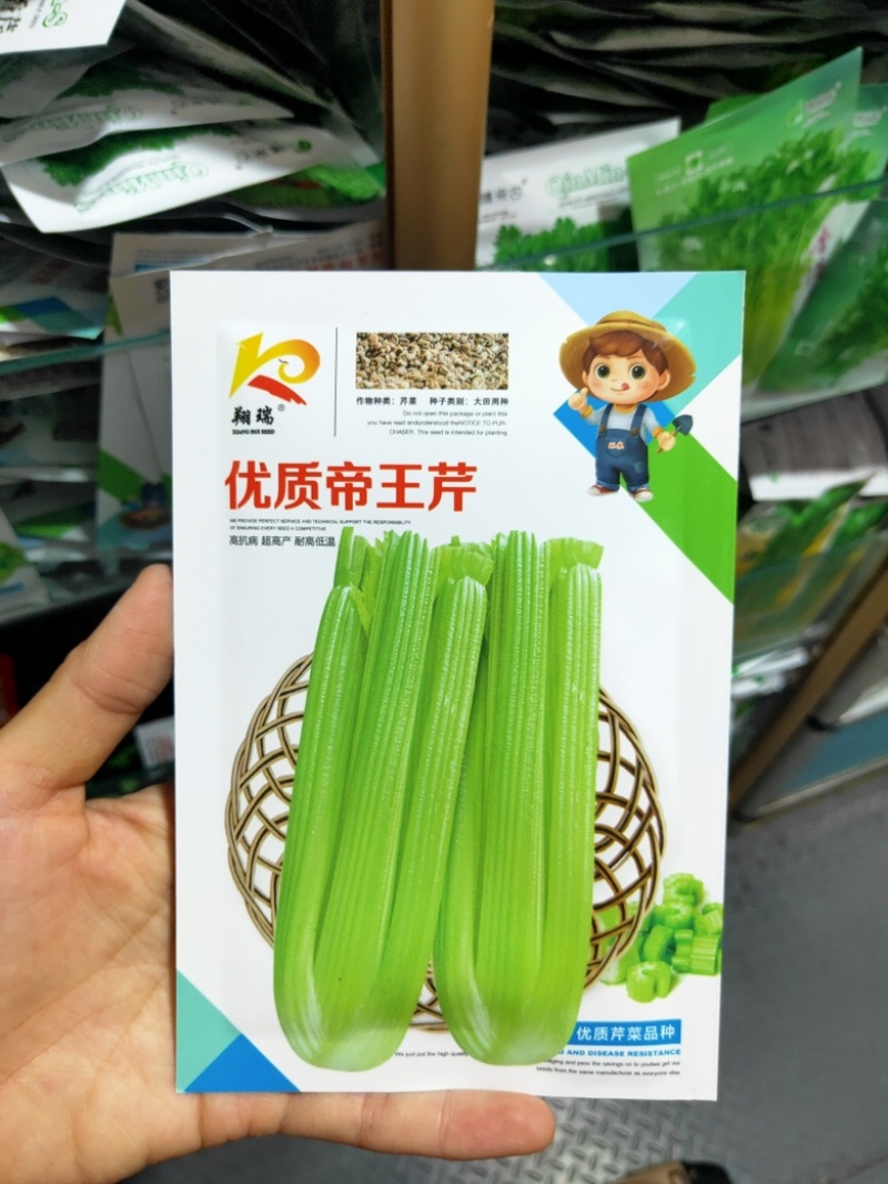 双港西芹种子80克文图拉芹菜种子精选芹菜籽株高70厘米