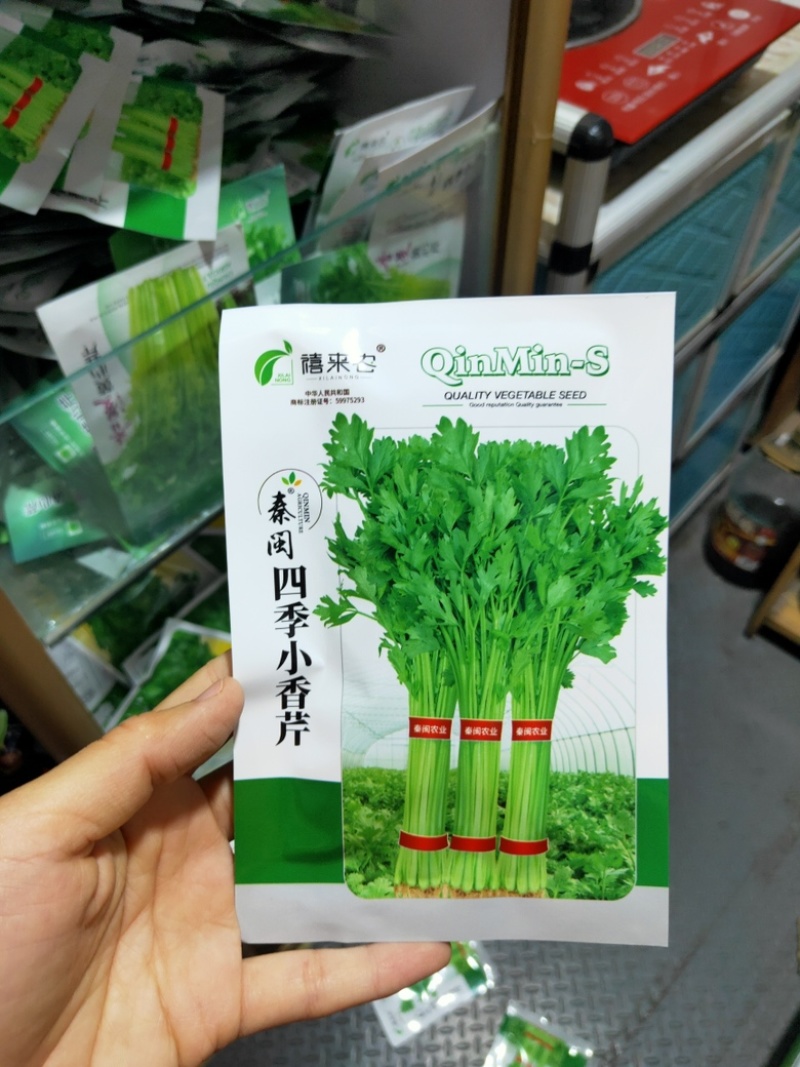 环农四季小香芹种子罐装约80g山芹香芹速生芹菜大面种植