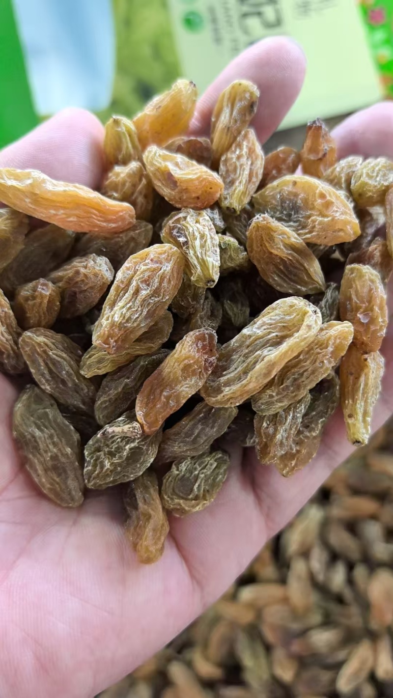 新疆当季葡萄干