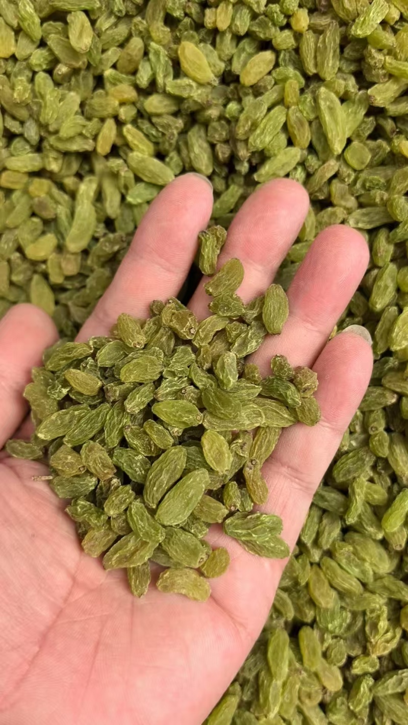 新疆当季葡萄干