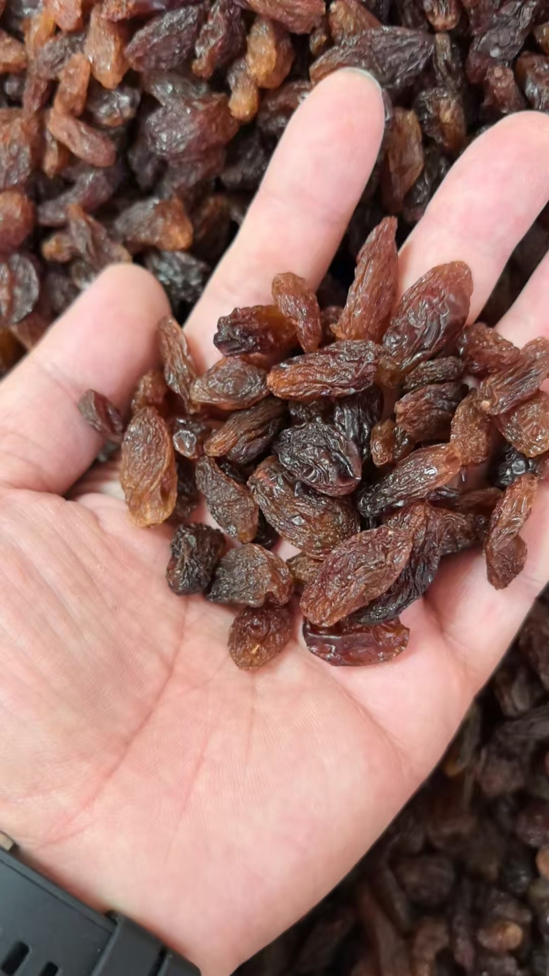 新疆当季葡萄干