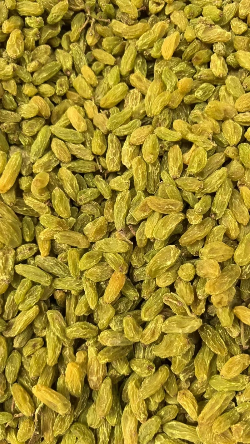 新疆当季葡萄干