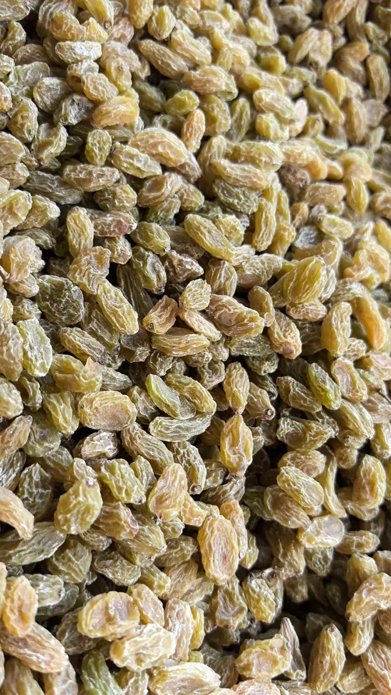 新疆当季葡萄干