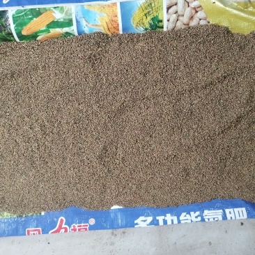 卖灰菜籽