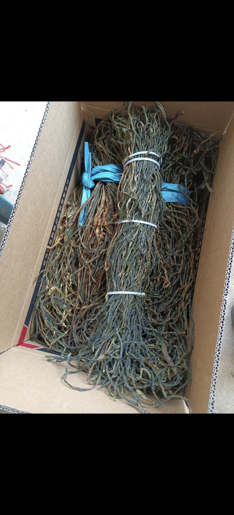 脱水长豆角产地直销常年有货大量供应