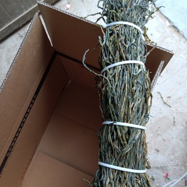 脱水长豆角产地直销常年有货大量供应