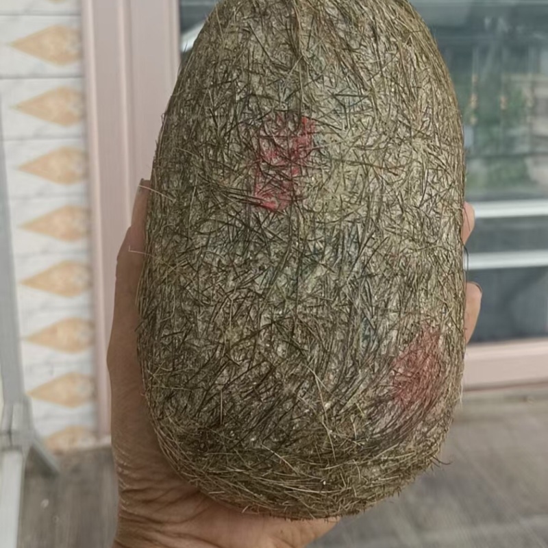 猪宝基地直发保证质量有需求的客户欢迎咨询