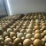品质鸡蛋质在我家自家养殖的一手货源七彩山鸡蛋